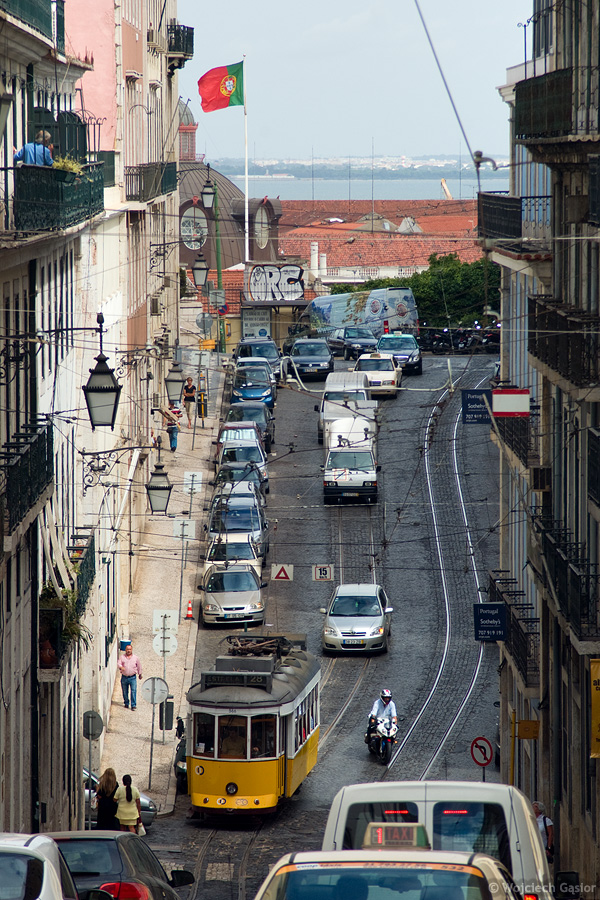 IMGP7469.jpg