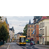 IMGP8502-1.jpg