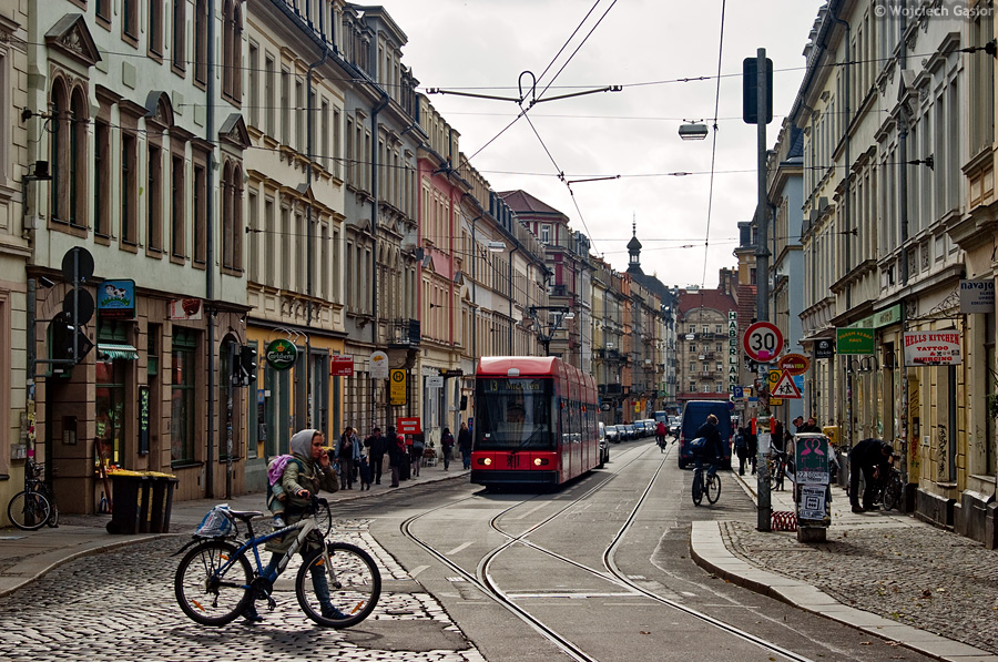 IMGP8584-1.jpg