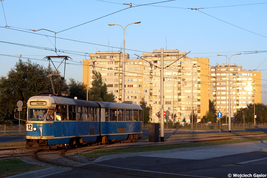IMGP9170.jpg