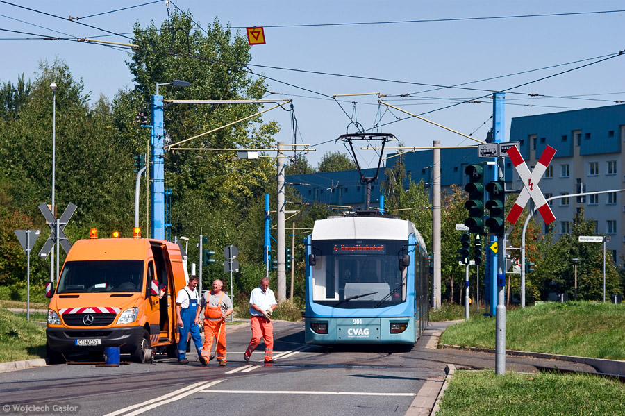 IMGP9384.jpg