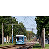 IMGP9389.jpg